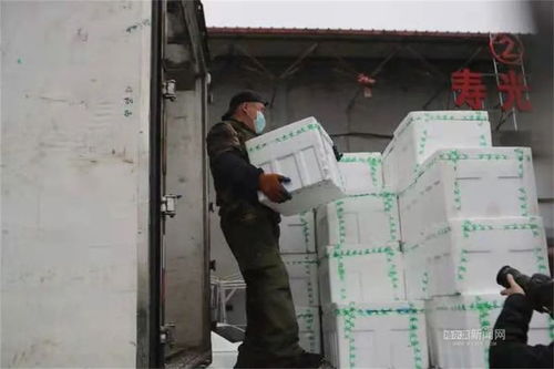 司机点对点运输 员工驻厂管理 园区一小时一消杀丨记者实地探访哈尔滨龙园农产品批发市场