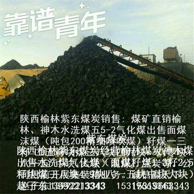 出售煤炭陕西榆林出售三八49块煤13二五籽煤销售神木五二气化煤供应 烟煤面煤38四九块煤八一五中大块煤出售