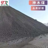 东莞神木煤煤炭销精煤取暖煤烤烟煤工厂用煤神木气化煤