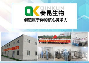 工厂直批盒装植物萃取美再生牌草本软膏oem代加工批发定制生产